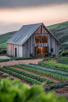 an old barn sits in the middle of a green field with rows of plants growing on it