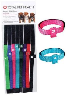 four dog collars with different colors and numbers on each leash, including one for small dogs