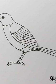 a drawing of a bird sitting on top of a piece of paper with the words skybird above it