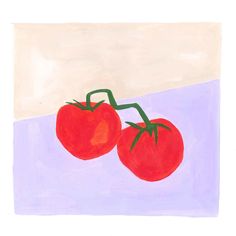 two tomatoes on a white and blue background