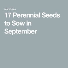 the text reads, 17 perennial seeds to sow in september on a gray background