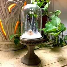 a snow globe with trees in it sitting on a table