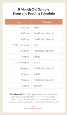 the 8 month old sample sleep and feeding schedule is shown in this graphic above it's description