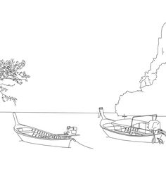 two boats sitting on the shore next to a tree