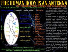 Human Body is an Antenna Human Body Frequency, Spiritual Awakening Signs, Sacred Science, Everything Is Energy