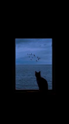 a cat sitting in front of a window with birds flying over the ocean behind it