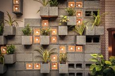 several cement blocks with plants and lights on them