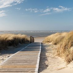 a wooden walkway leading to the beach with grass on either side and sand dunes in the background