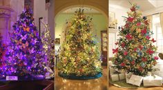 three different types of christmas trees in various stages of being decorated with lights and bows