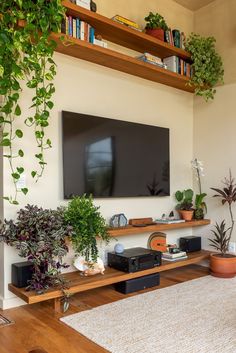 a flat screen tv sitting on top of a wooden shelf next to a plant filled wall