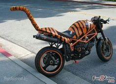 an orange and black motorcycle parked on the side of the road with a tiger tail attached to it's seat