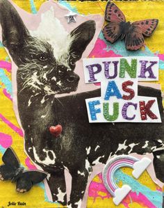 an altered photograph of a black and white dog with the words punk as fock on it