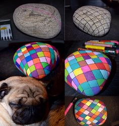 there is a pug dog sitting on the floor next to some rocks and crayons