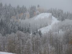 a snow covered mountain with trees in the foreground