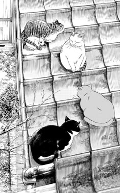 black and white drawing of cats on stairs