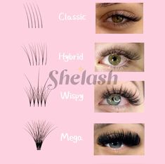 . . . #lashes #lashes #lashextensions #volumelashes #eyelashextensions #eyelashes #lashartist #lashtech #classiclashes #lashlove #lashesfordays #hybridlashes #eyelash #classiclashes #wispylashes #mmlashes #premadelashfans #premadefans #easyfan #rapidfans #eyelashextensionsupplies #easyfanlashes #easyvolumelashes #volumelash #lashmap #lashmapping#shelashofficial Velvet Lashes, Glitter Mascara, Lash Map, Lash Training, Girly Tingz, Eyelash Extension Supplies, Eyelash Extension Glue, Mascara Brush, Wispy Lashes