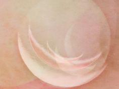 an abstract photograph of white circles on pink and beige paper with watermarked edges