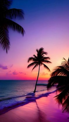 two palm trees are silhouetted against the setting sun on a tropical beach with pink and purple hues