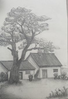 a pencil drawing of a house and tree