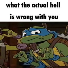 an image of teenage mutant turtles with caption that reads, what the actual hell is wrong with you