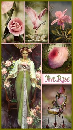 an image of flowers and birds in different pictures with the words olive rose on it