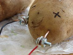 a potato with the words how to use a potato to light up your room for an entire month