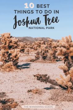 the joshua tree national park with text overlay reading 10 best things to do in joshua tree national park