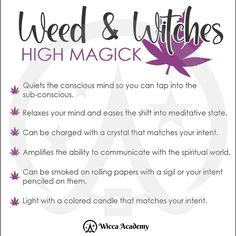 For some witches, a smoke a day keeps the bad witch at bay. For others, cannabis is a healing substance whose prohibition adds to the mystical effects of its powers. Plenty of witchy – leaning people lean all the way into the world of cannabis and incorporate it into their daily lives and rituals – either medicinal, recreational, or both.  #smoke #cannabis #healing #powers #power #witchy #life #ritual #dailylives #wicca #witchcraft #tarot #crystals #witchyvibes Spell Jar Recipes, Green Witchcraft For Beginners, Beginner Witches, Witchcraft Tarot, Magickal Herbs, Witch Rituals, Jar Recipes, Wiccan Magic, Spiritual Journals