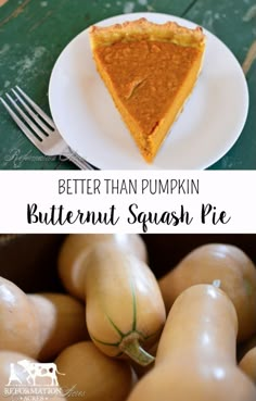 butternut squash pie on a white plate with the words, better than pumpkin butternut squash pie