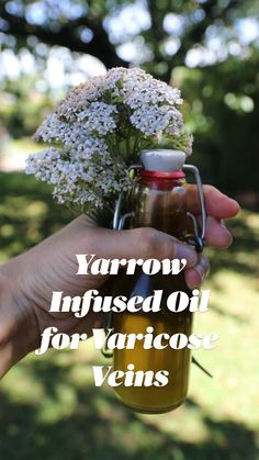 Infused Oil, Herbal Apothecary, Natural Antibiotics, Herbal Healing, Cough Remedies, Infused Oils, Good Health Tips, Healing Herbs, Natural Home Remedies