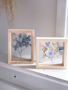 two framed pictures with blue flowers in them sitting on a white shelf next to a window