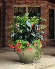 a large potted plant with red flowers in front of a brick building