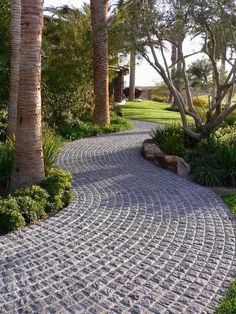 a stone pathway between two palm trees