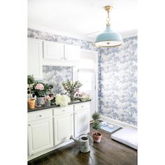 a kitchen with blue and white wallpaper, wood flooring and potted plants