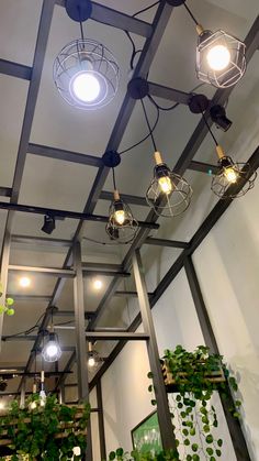 several lights hanging from the ceiling in a room with potted plants and other decorations