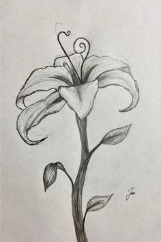 The Flower From Tangled, Flower From Tangled, Day Art Challenge, Draw A Flower, Tangled Painting, Easy Graffiti Drawings, 30 Day Art Challenge, Pencil Drawings Of Flowers, Disney Canvas Art