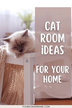 a cat sleeping on top of a table next to a coffee cup and saucer