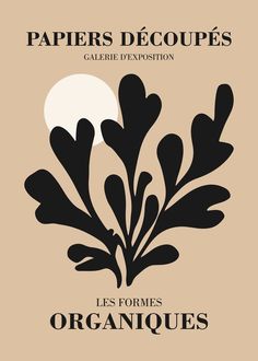 the cover of papers decoques's catalogue, featuring an image of leaves and moon