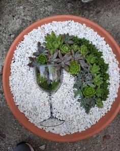 there is a wine glass and some plants in the potted planter on the ground