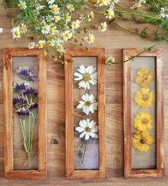 three wooden frames with flowers in them sitting on a table next to some dried daisies