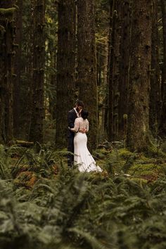 a bride and groom standing in the middle of a lush green forest with tall trees