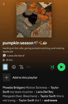 an image of a black cat in the middle of a page with text that reads pumpkin season