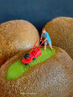 a toy man pushing a lawn mower on top of some kiwis with grass