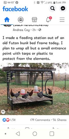 a twitter post with an image of chickens eating out of a feeder and the caption reads, i made a feeding station out of an old futon bunk bed frame today