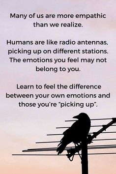 a black bird sitting on top of a telephone pole next to a sky background with words written below it