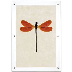 an orange dragonfly sitting on top of a piece of paper