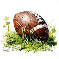 an image of a football in the grass