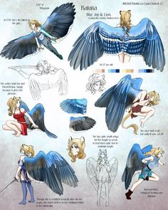 some blue and black birds with different poses