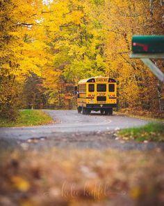 a yellow school bus driving down a road surrounded by trees with fall foliage on it