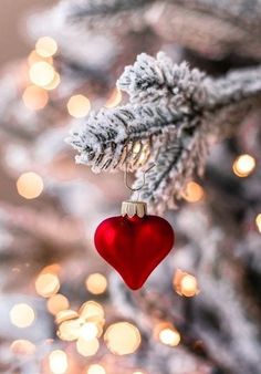 a red heart ornament hanging from a christmas tree